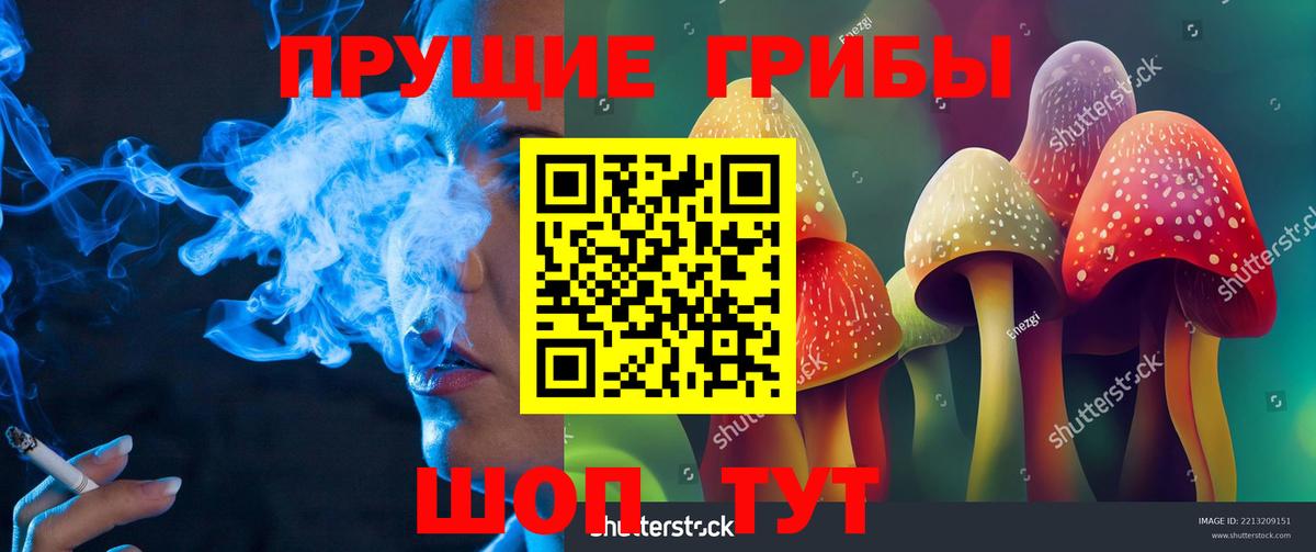 Галлюциногенные грибы Cubensis  Вход с VPN  Сорочинск 